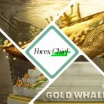 ForexChief  GOLD WHALE Live Trader Contest