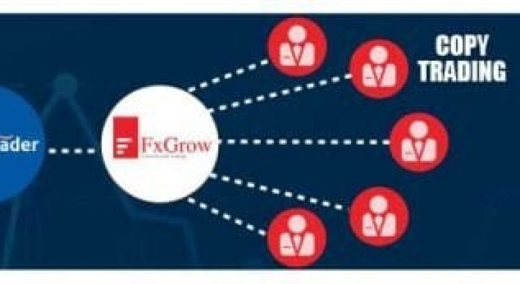 forex-signals-fxgrow-768x173