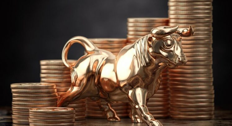 golden-bull-coins-financial-investment-bull-market-growth-stock-market-concept_708636-559